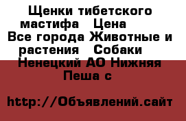 Щенки тибетского мастифа › Цена ­ 80 - Все города Животные и растения » Собаки   . Ненецкий АО,Нижняя Пеша с.